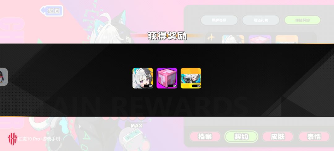 猫猫可爱捏 2