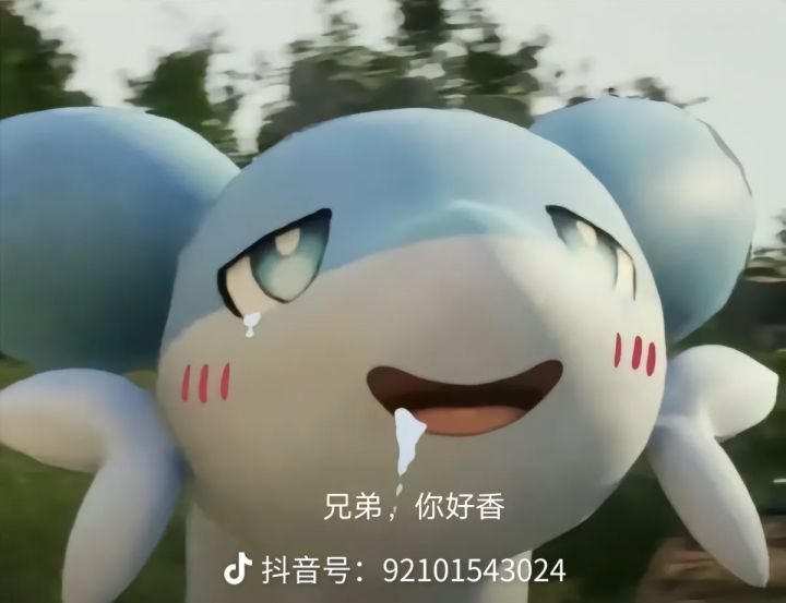 没有pc定制端？截图