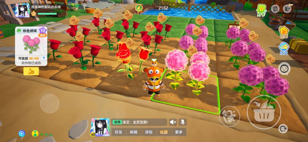 一级级的花,一步步的成长 3