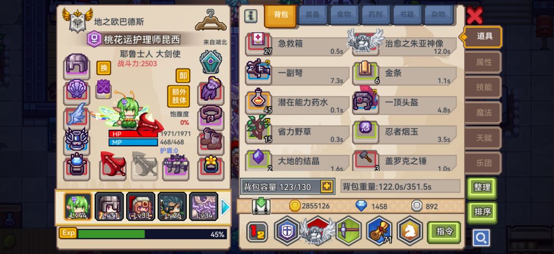 伊洛纳萌新求助 1