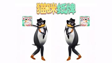 《猫咪纸牌》高雅企鹅来袭🐧