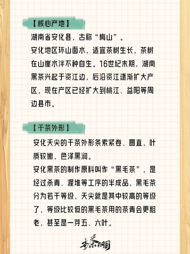 一起来找茶-谁是安化天尖！ 3