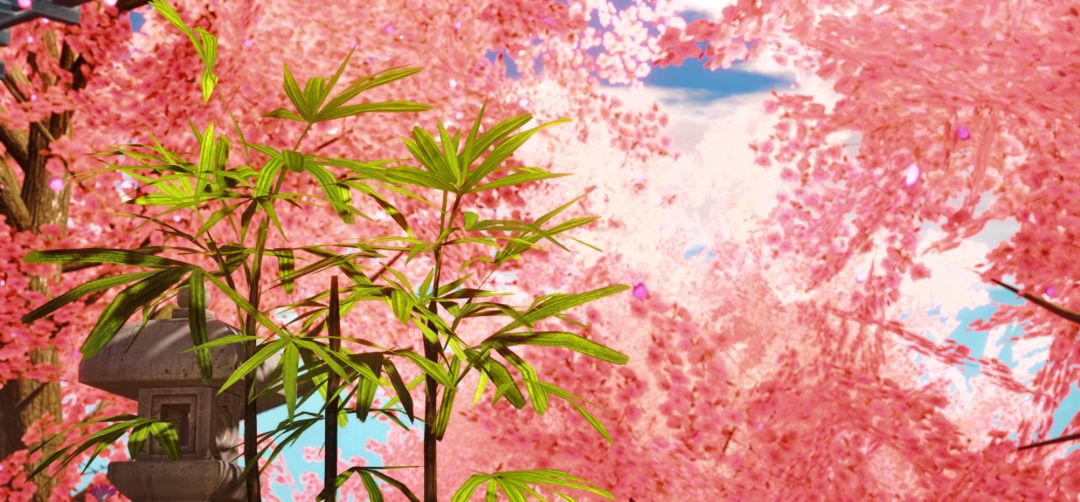 樱花 2