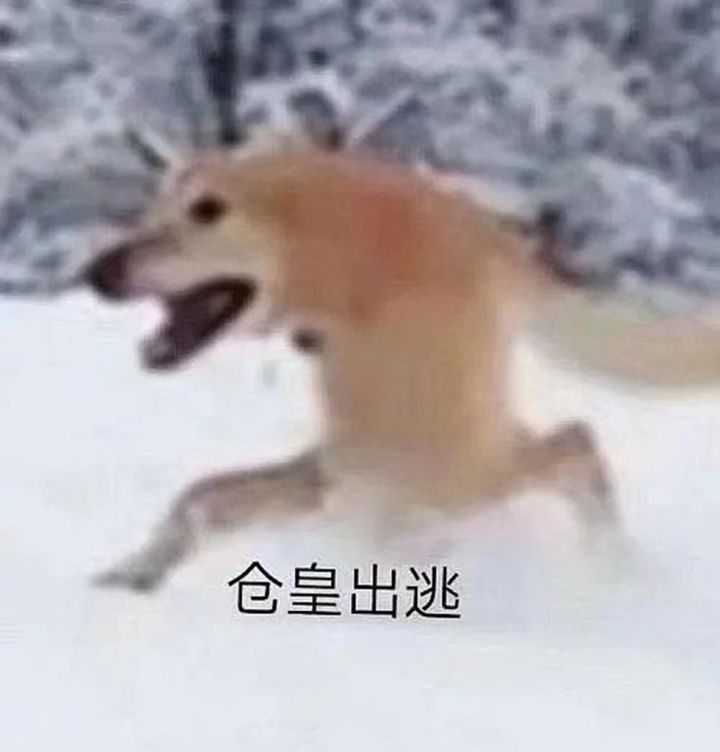 元气官方正版链接有需要的直接下
http://www.chillyroom.com/zh截图