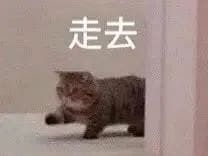 本玩家的爱好是瞎溜达所以我有一个提议 2
