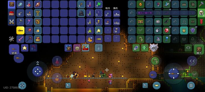 大师射手开荒一一支线boss蜂后截图