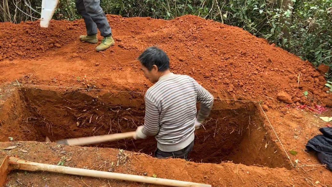 追忆哪里出啊? 1