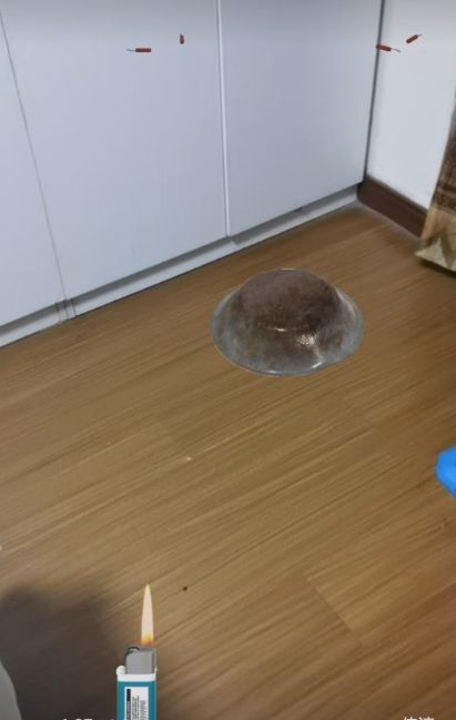 只看烟花不过瘾？想要炸狗盆？安排！ 3