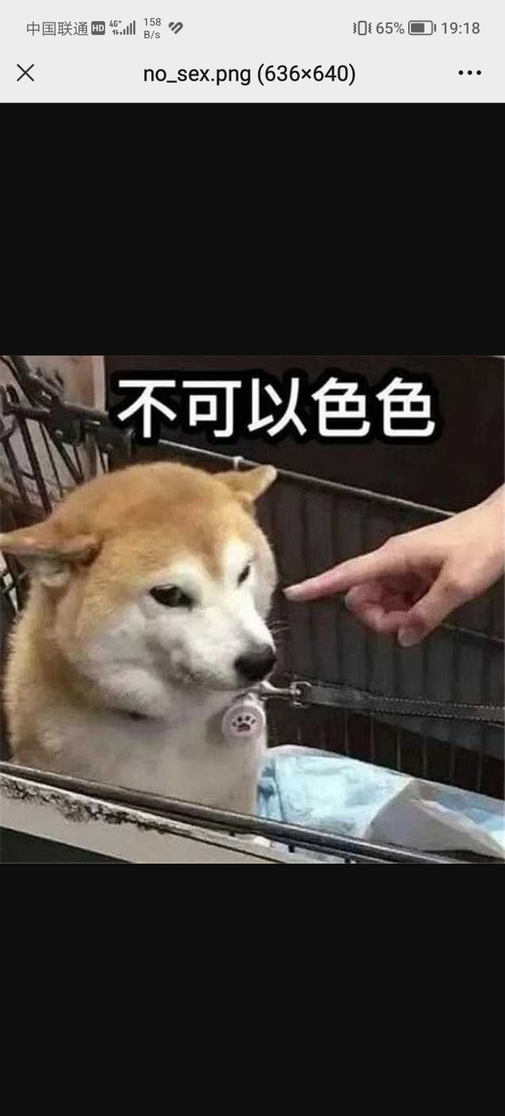懂得都懂截图