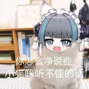 猫猫表情包9.0 3