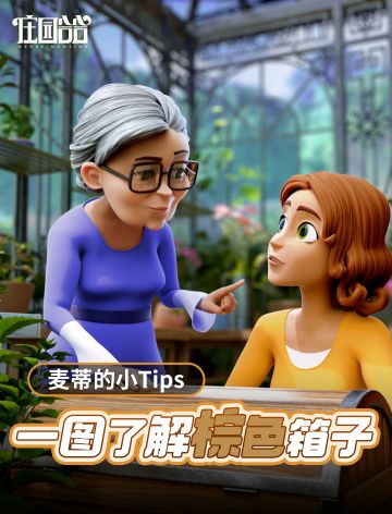 【麦蒂的小Tips】一图了解棕色箱子！