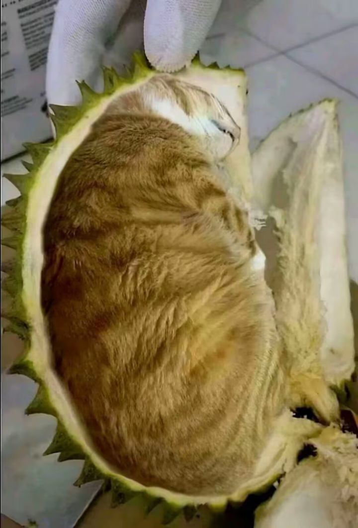 新版本预告截图