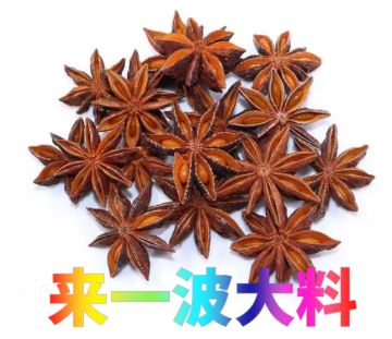 暗魔领主 | 汗蒸领主的情报站（十四）