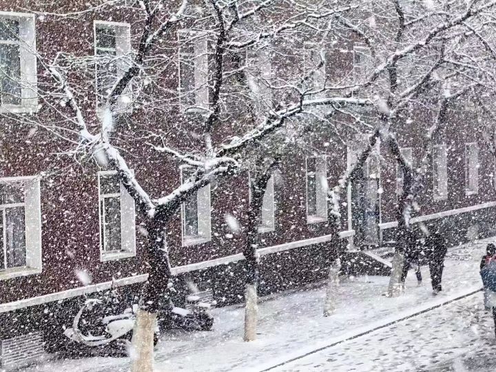 13区雪落的庇护所招人截图