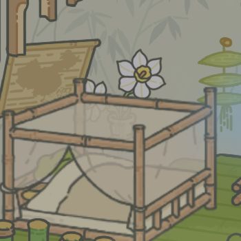 水仙花刚买了几个小时就插上了截图