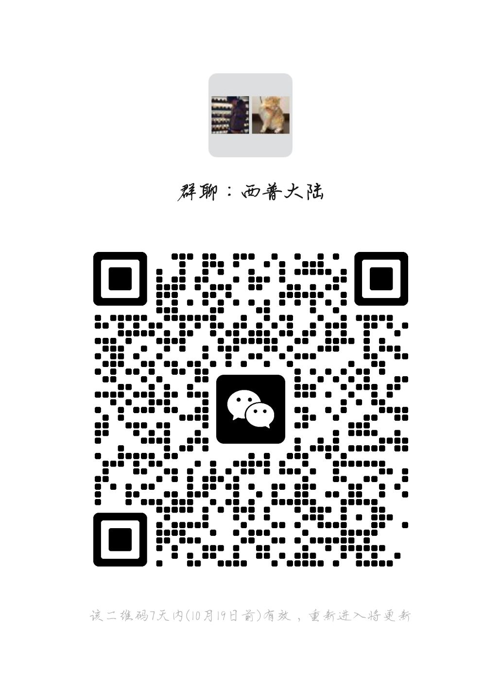 努力宣群 1