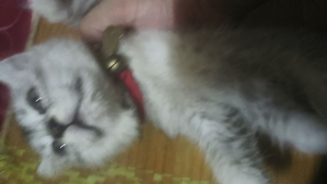 最全兑换码 1