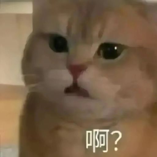 偷跑失败 1