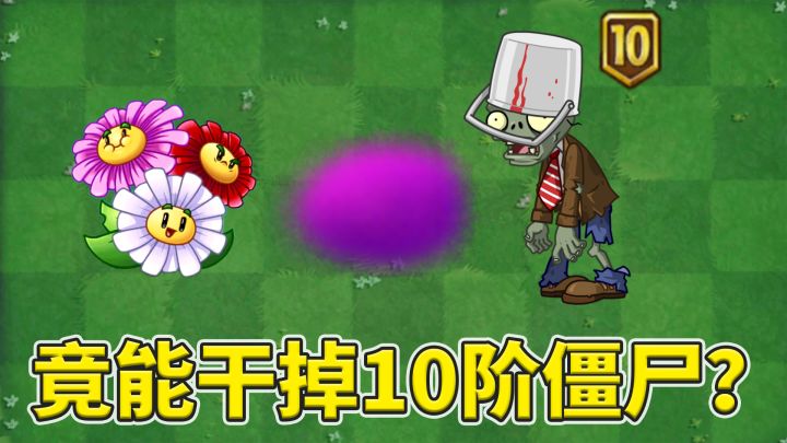 植物大战僵尸2:眩晕雏菊能干掉10阶僵尸?截图