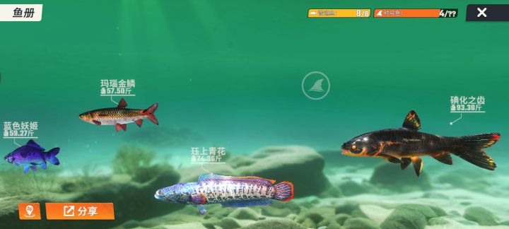 求助这条鱼在哪钓?截图