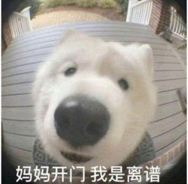 请教大佬 1