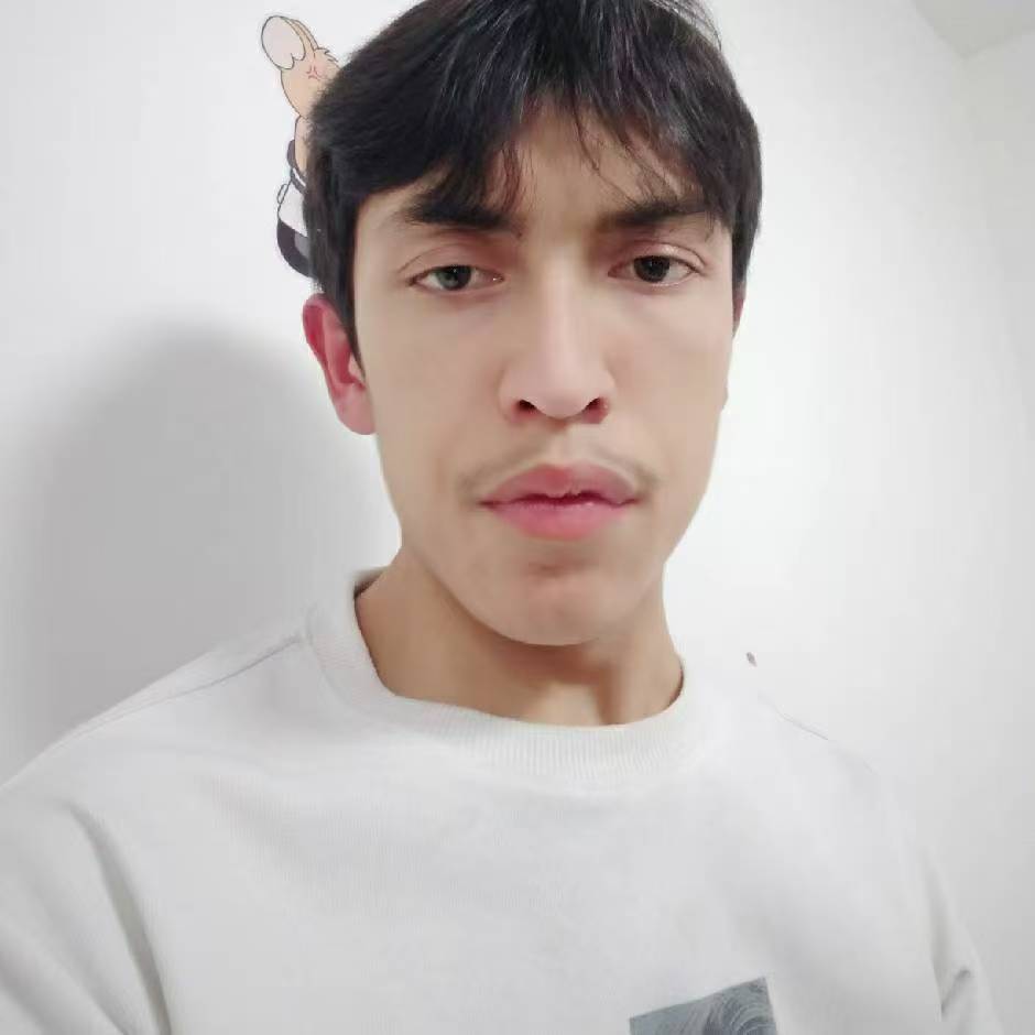 动态图片 12
