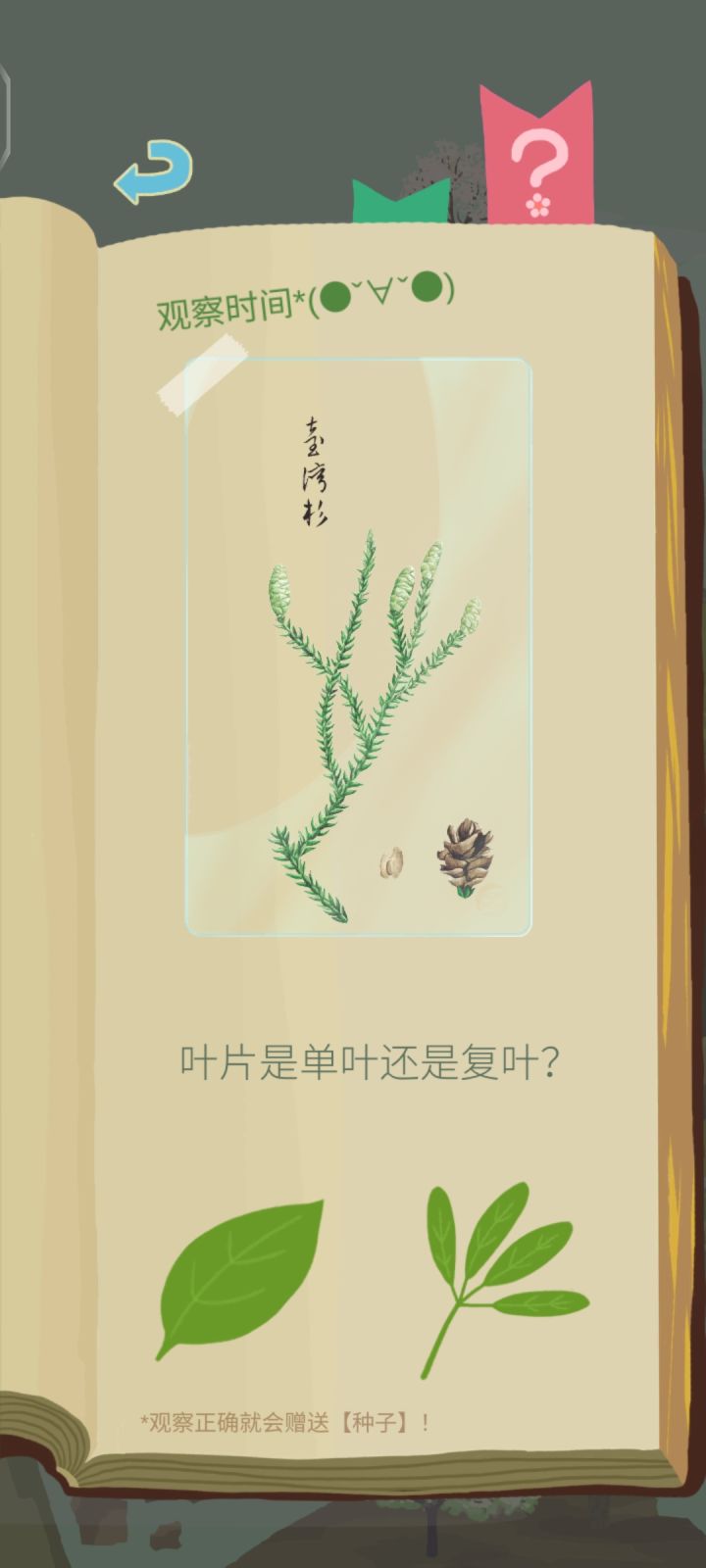 求助,如下截图