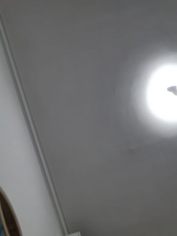 守护者‘不朽者’皮肤首次登场！