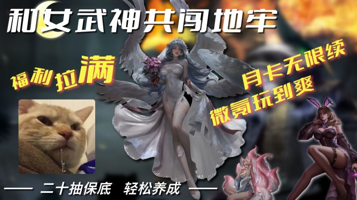 月卡皮肤无限续？和女武神下地牢的快乐你想象不到！截图