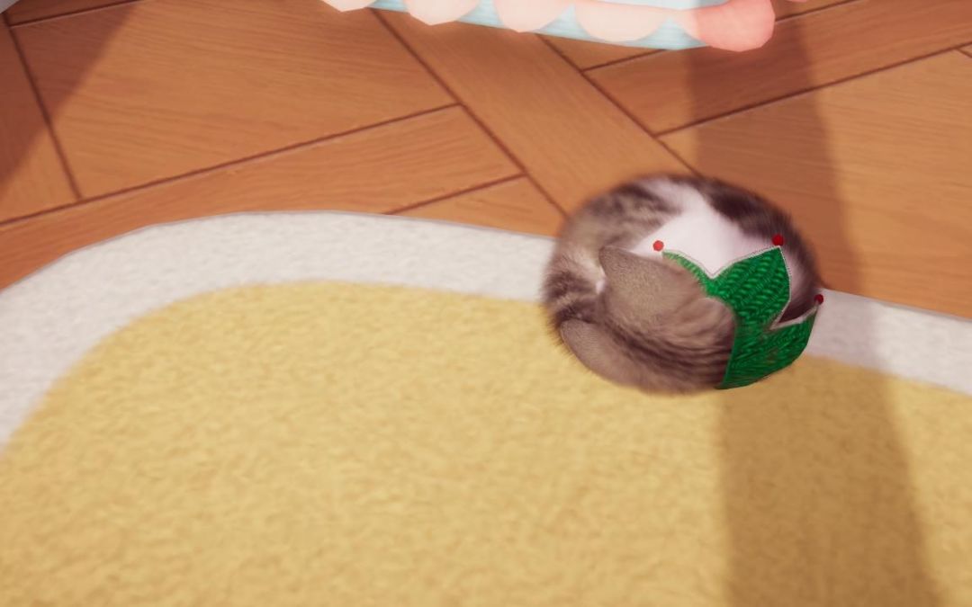 猪咪猪咪 7