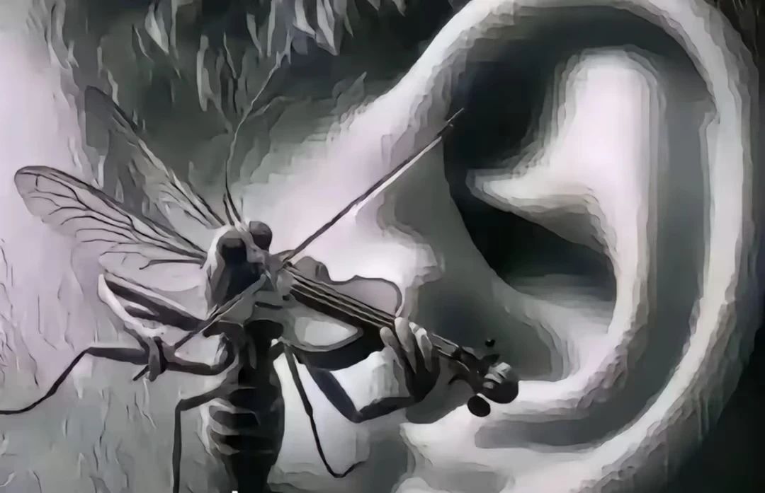 不点赞的蚊子就在你耳边拉小提琴截图