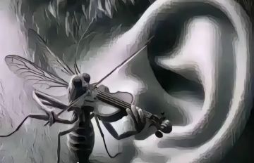 不点赞的蚊子就在你耳边拉小提琴