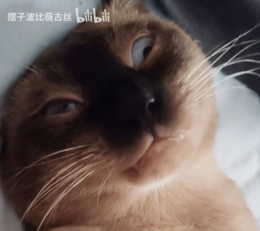 差一步美满 1