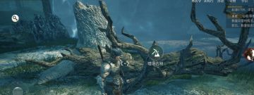 常见树木及其产物大全