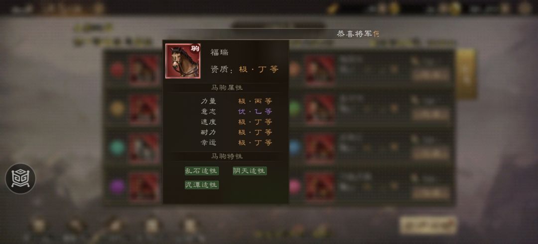 11月23日赛马前三预测 3