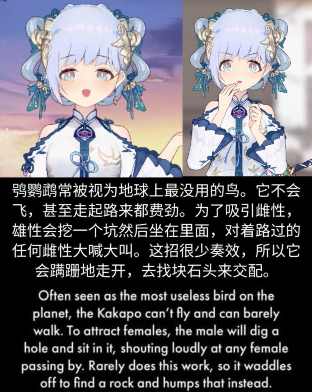 潮汐么么第497弹 2