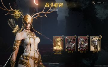 最后一役——枪弓塔300层、完结