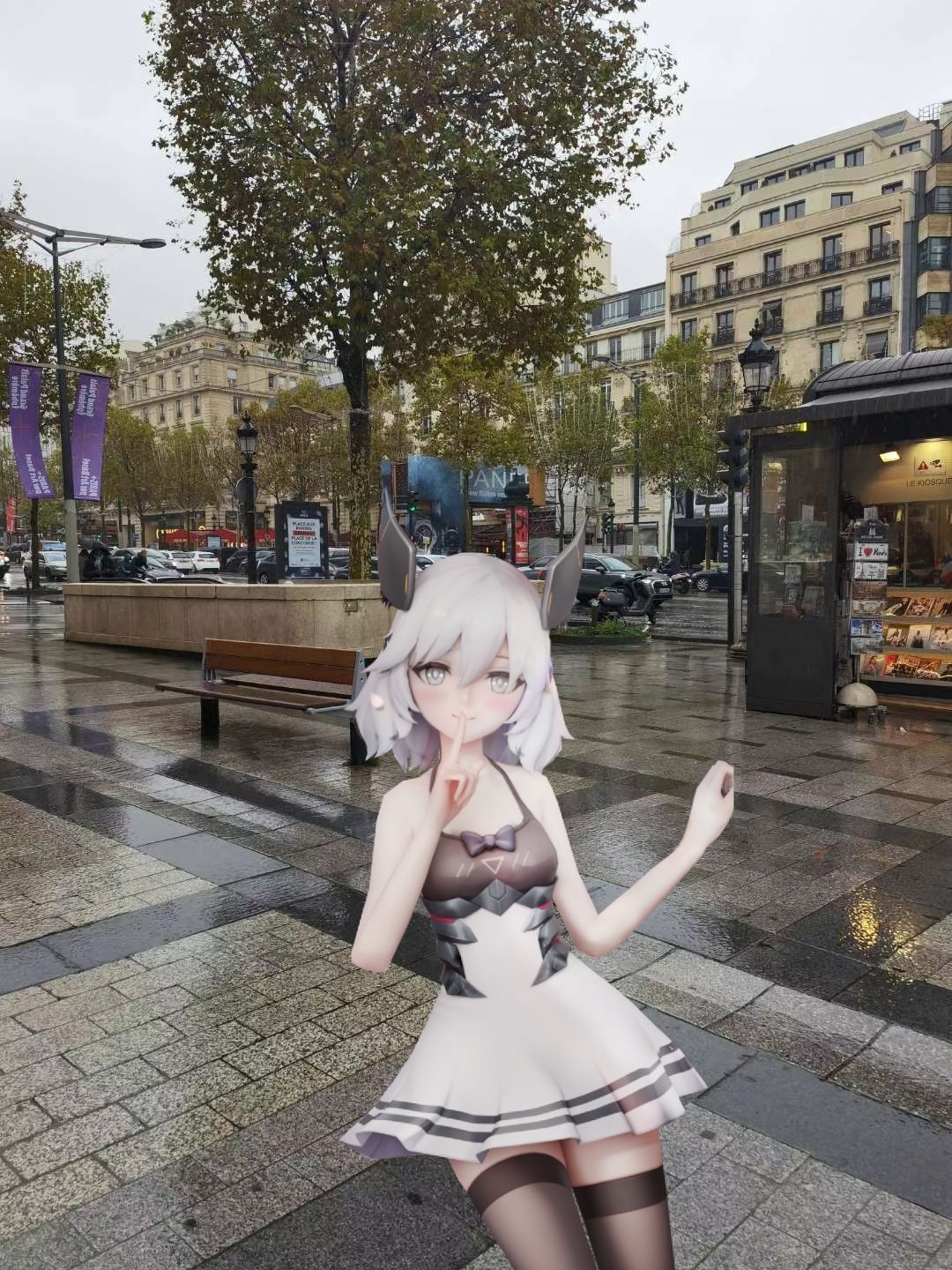 雨天的Champs-Élysée 1