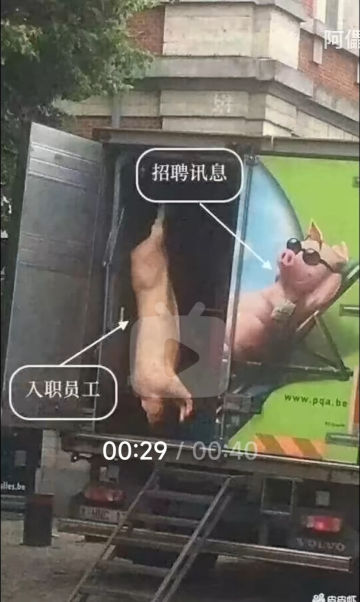真有意思。截图