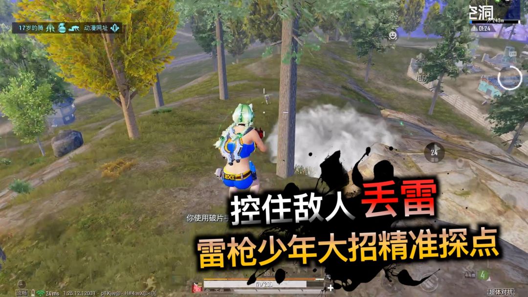 video-4071524
