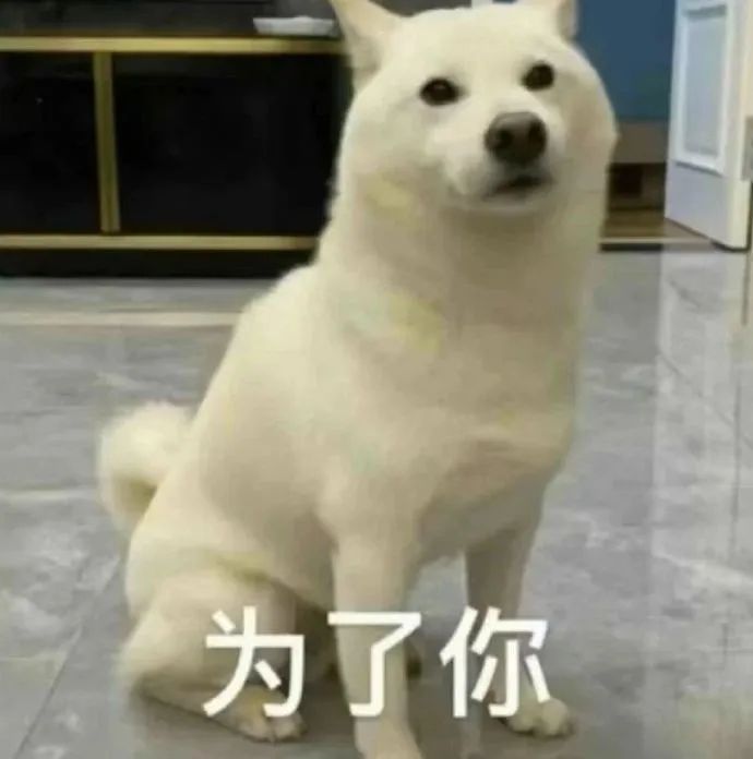 雾苑奇遇什么路线 1