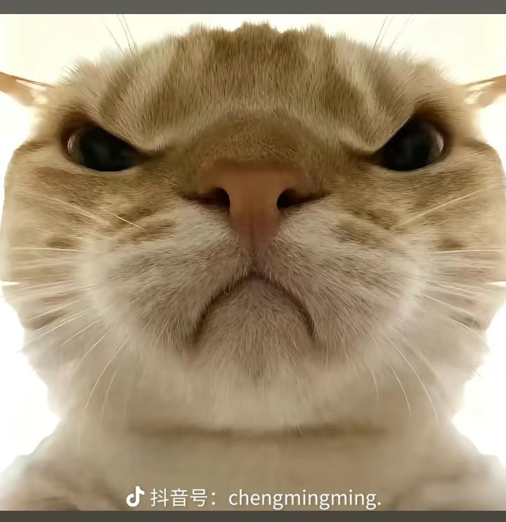 301神秘房间截图
