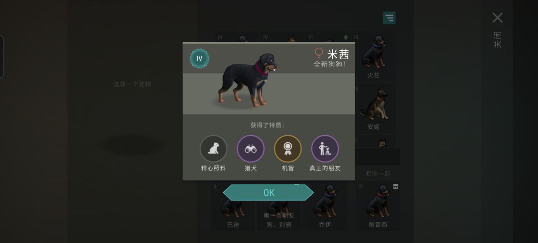 搞不懂所谓的序列,一年多养了大概三百条狗 3