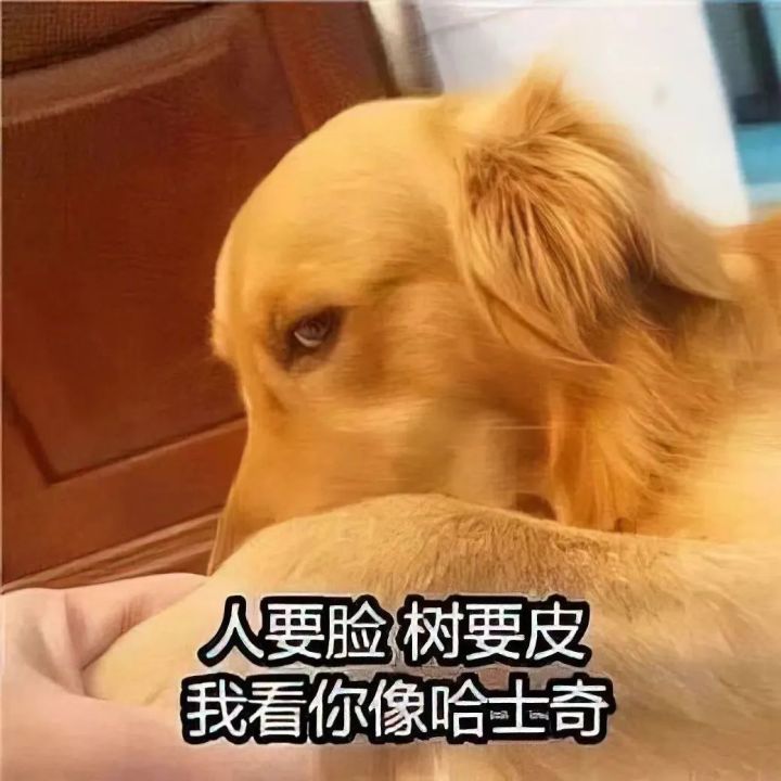 宝藏游戏又又又送皮肤啦截图
