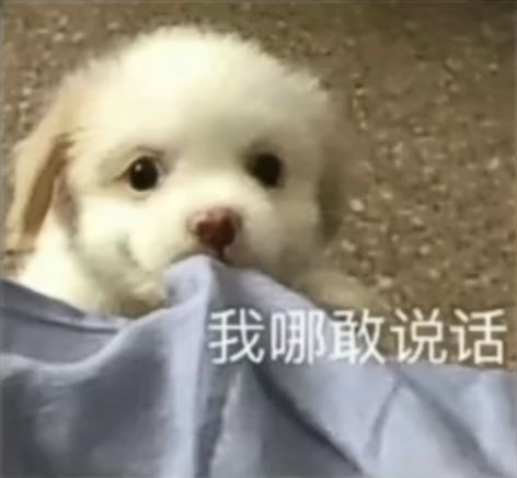 有没有抽卡爆率高的游戏啊,玄不改非氪不改命截图