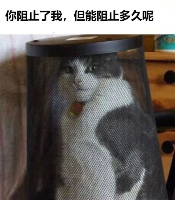 好好好,明天的池子才让我知道什么是抽卡游戏截图
