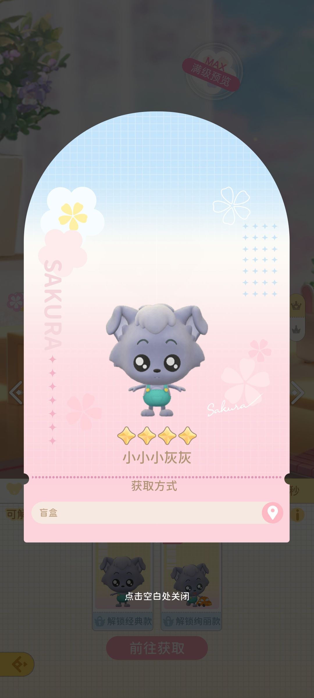 小灰灰 1