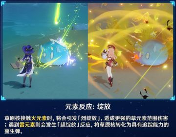 【V5.0攻略】烈绽放托马玩法及培养攻略