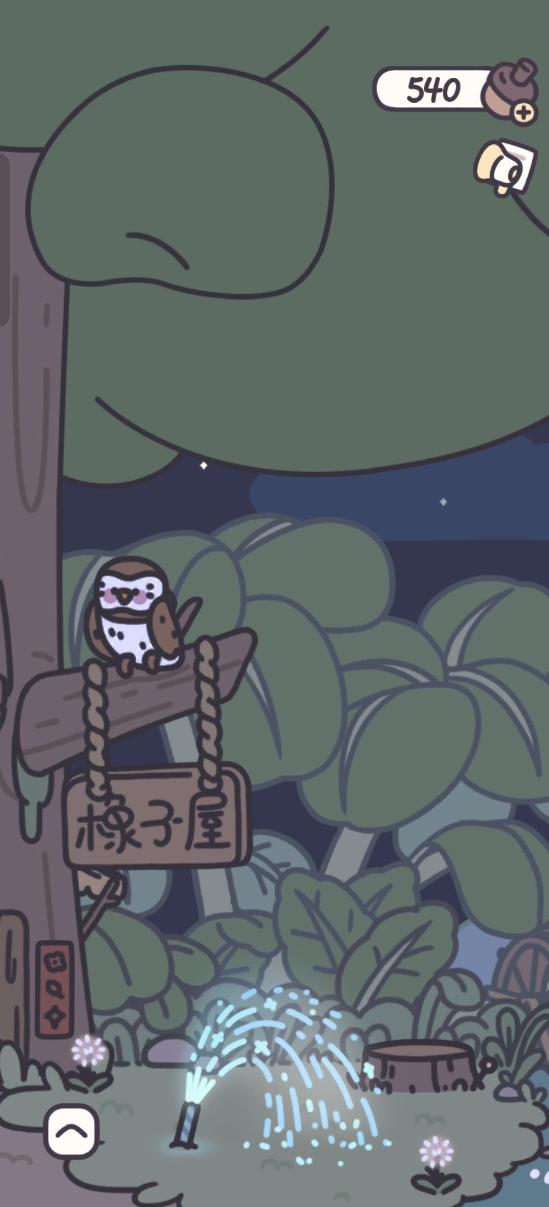 今晚放烟花🎆咯 1
