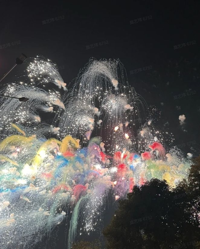 年味十足，闪亮陪我过蛇年 2